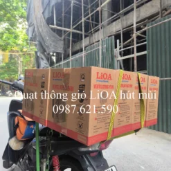 Quạt Thông Gió LiOA ✅